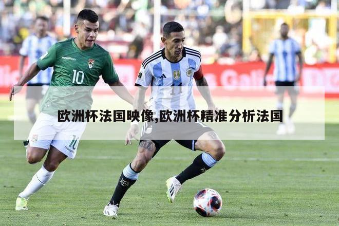 欧洲杯法国映像,欧洲杯精准分析法国