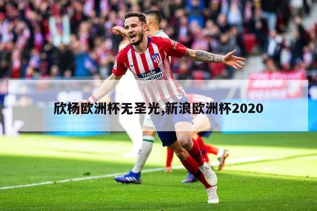 欣杨欧洲杯无圣光,新浪欧洲杯2020