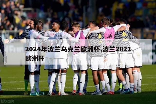 2024年波兰乌克兰欧洲杯,波兰2021欧洲杯