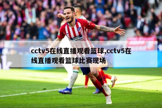 cctv5在线直播观看篮球,cctv5在线直播观看篮球比赛现场