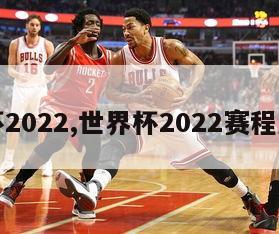 世界杯2022,世界杯2022赛程及结果