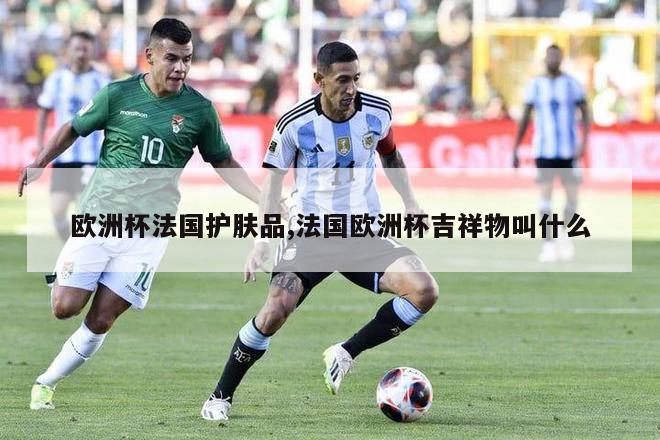 欧洲杯法国护肤品,法国欧洲杯吉祥物叫什么