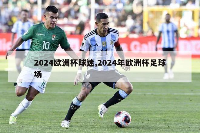 2024欧洲杯球迷,2024年欧洲杯足球场